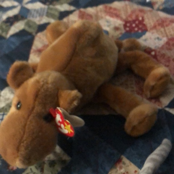 Beanie baby’s - Picture 2 of 6